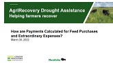 How Are Payments Calculated for Feed Purchases and Extraordinary Expenses