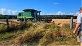 Harvest Season: Making Straw ... And Barley! / August 20, 2022