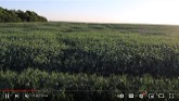 TOP 3 Spraying Tips | Fungicide Timin...