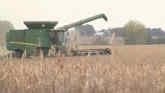 Elevating Soybean Yield Potential Thr...