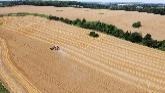 Farmer Harvesting Crop, Ontario, Cana...