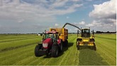 Grass Harvest ~ McCormick X7.680 Loon...