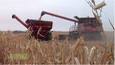 Farm Basics #861 - Grain Carts (Air Date 10/5/14)