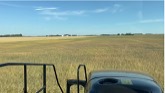 First Day Of Harvesting Wheat