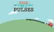 International Year of Pulses - What does it mean to Canadian pulse growers 