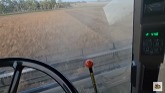L gleaner, 860 massey and the 9600 combine robs peas!!!