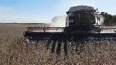 Gleaner R75 in action for soybean har...