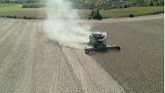 Skyline Soybean Harvest 2022