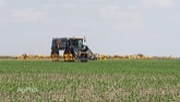 Farm Basics #1099 Pesticides and Soil Microbes (Air Date 4-28-19)