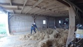 Cleaning Up Our Old Barn