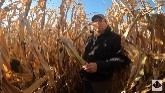 Canadian farmer harvest Part #9 Test plot day