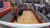 2K Cattle Auction - Buying a Bull