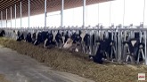 Seeding 2022 and Dairy Barn Alberta, Canada