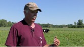Cover Crops and Resiliency