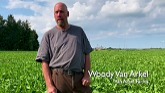 Cover Crops for Erosion Protection an...