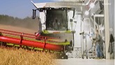 CLAAS | Excellence Harsewinkel 3/6. Cab, straw chopper and elevators.