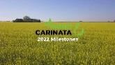 Nuseed Global - Carinata Milestones (...