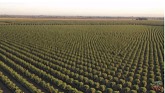 Understanding Carbon Farming