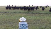 Farmer Serenades Cattle with a Trombone