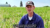 Improving Soil Health in 60-inch Rows of No-till Corn Inter-seeded with Cover Crops