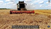 WHEAT Documentary: Everything You Ever Wanted to Know about Wheat