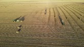 Baling Wheat Straw in Montana!