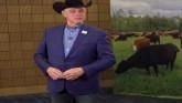 NCBA Tackling Beef Industry Issues in...