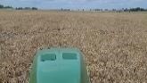 Planting Corn into standing Cover Cro...