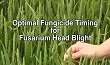 Optimal Fungicide Timing For Fusarium...