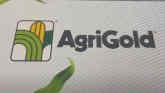 AgriGold Expands Field GX Hybrid Clas...
