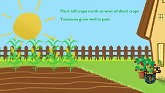 Vegetable Gardening 101 Tips and Tricks