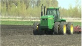 Managing foreign material in soybean: Pre-emergence weed control