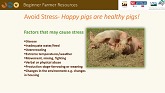Pastured Pork Production Welfare, Health and Biosecurity - Teaching Tools for Beginning Farmers