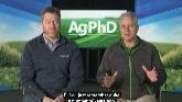Fungicides and Plant Health