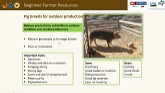 Pastured Pork Production – Breeding and Reproduction