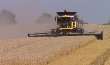 New Holland CR8090 Combine Harvesting Wheat 