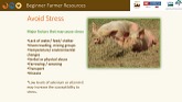 Pastured Pork Production – Animal Ma...