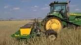 Planting Corn into regenrative standing Cover Crop