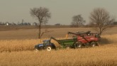 US to Challenge Mexico Corn Ban