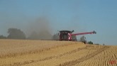 HARVESTING WHEAT Double Cropping Soyb...
