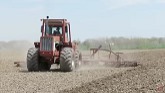 INTERNATONAL Tractors Planting Corn