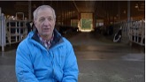 Dairy - Safety in the Barn