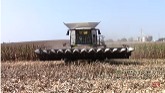 CLAAS Lexion 7500 TT Combine Harvesting Corn in Kentucky