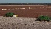 Chad Brewer on Climate Smart Cotton P...