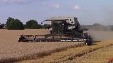 Deutz-Allis GLEANER R60 Combine Harvesting Wheat