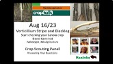 CropTalk - Aug 16