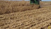 Calmer Stalk Rolls Harvesting Severe Down Corn