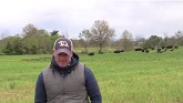 Cover Crop Grazing: Josh Ramsburg, Rock Creek Farms
