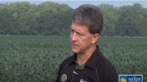 Improving Soybean Yields Through Rese...