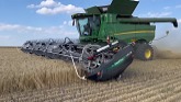 Harvesting Wheat In The Saskatchewan Heat